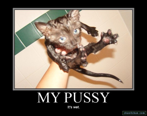 my pussy